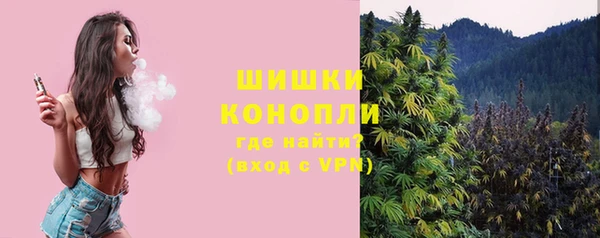 молекула духа Белокуриха