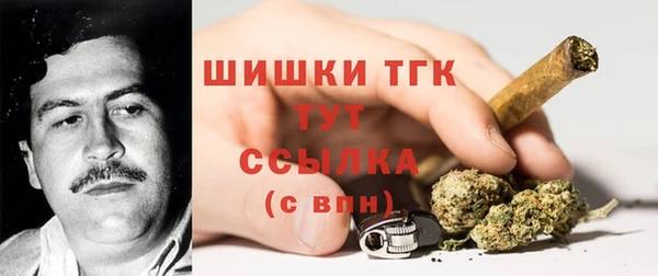 spice Богданович