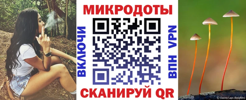 Галлюциногенные грибы Psilocybe  Белорецк 